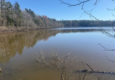 Located in Pontotoc County, Ms this 70 +/- acre property is one - photo 1