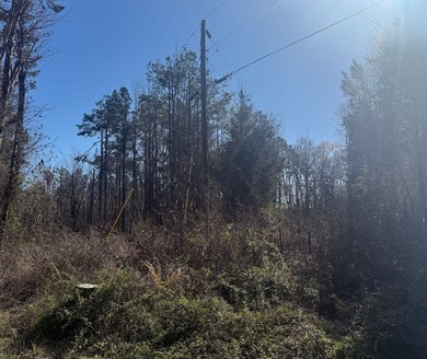 Located in Pontotoc County, Ms this 70 +/- acre property is one - photo 4