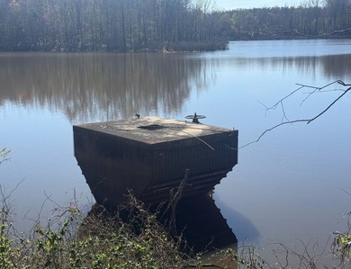 Located in Pontotoc County, Ms this 70 +/- acre property is one - photo 5