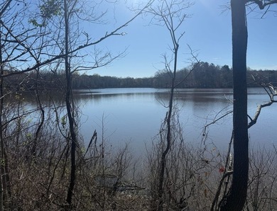 Located in Pontotoc County, Ms this 70 +/- acre property is one - photo 9