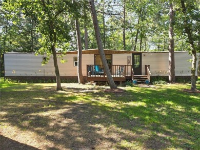 Lake Home For Sale in Menahga, Minnesota