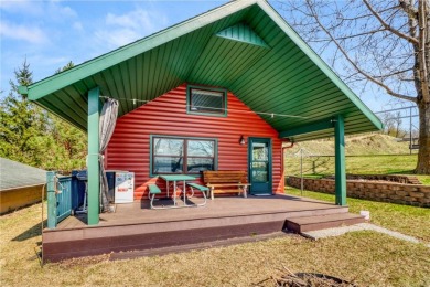 Lake Home For Sale in Dunn Twp, Minnesota