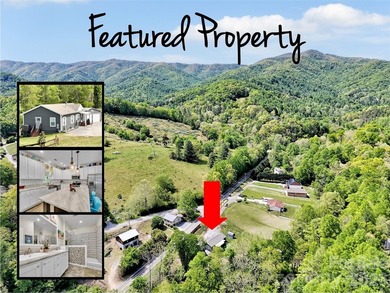 Enjoy the rare opportunity to own a beautiful mountain - photo 2