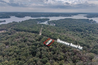 Nice and level building lot off of Shawnee Bend Rd. Power - photo 4