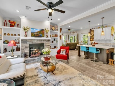 Enjoy the rare opportunity to own a beautiful mountain - photo 4