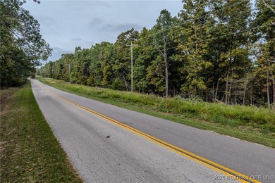 Nice and level building lot off of Shawnee Bend Rd. Power - photo 5