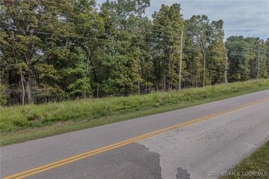 Nice and level building lot off of Shawnee Bend Rd. Power - photo 6