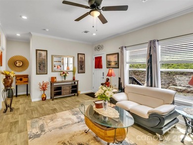 Enjoy the rare opportunity to own a beautiful mountain - photo 6
