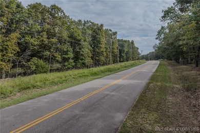 Nice and level building lot off of Shawnee Bend Rd. Power - photo 7