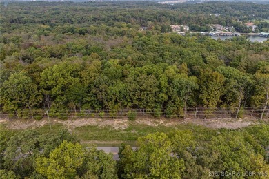Nice and level building lot off of Shawnee Bend Rd. Power - photo 9