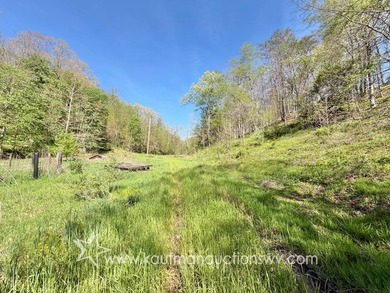 ***AUCTION***Price of $73,700 Reflects the County Appraised - photo 11