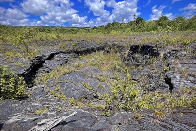 Off-grid but not far from the beaten path, experience the - photo 15