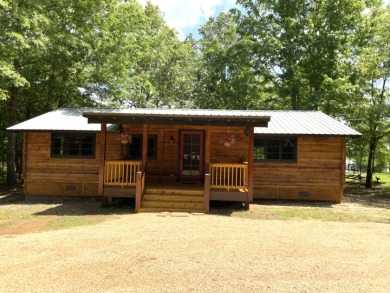 SALE PENDING!!! Thank You Lord For Your Blessings!!! - Lake Home Sale Pending in Pachuta, Mississippi