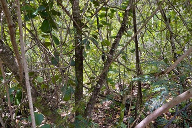 Off-grid but not far from the beaten path, experience the - photo 21
