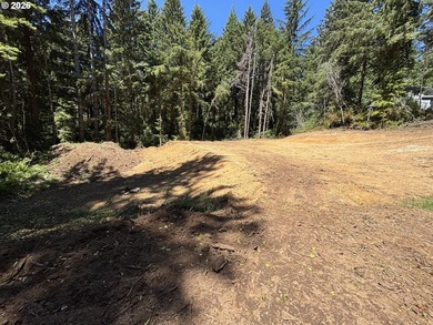 Private and secluded 2-acre parcel, yet 10 minutes to town. Out - photo 4