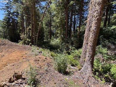 Private and secluded 2-acre parcel, yet 10 minutes to town. Out - photo 7