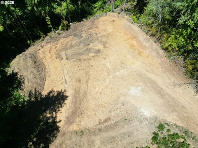 Private and secluded 2-acre parcel, yet 10 minutes to town. Out - photo 8