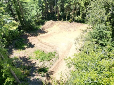 Private and secluded 2-acre parcel, yet 10 minutes to town. Out - photo 9