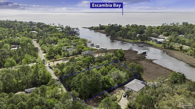 This exceptional 41-acre property offers the perfect blend of - photo 4