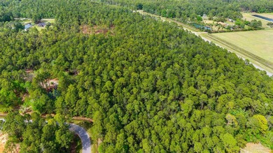 This exceptional 41-acre property offers the perfect blend of - photo 9