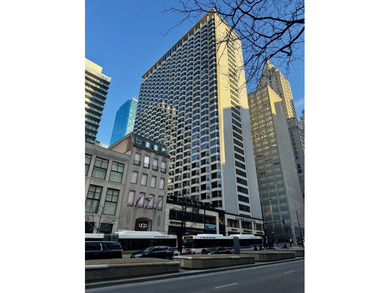 Lake Michigan - Cook County Condo For Sale in Chicago Illinois