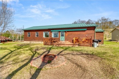 Lake Home For Sale in Dunn Twp, Minnesota
