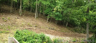 Nice Lake Front Building Lot at the 68 MM in Little Buffalo - photo 4