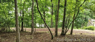 Nice Lake Front Building Lot at the 68 MM in Little Buffalo - photo 5