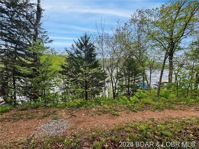 Nice Lake Front Building Lot at the 68 MM in Little Buffalo - photo 7
