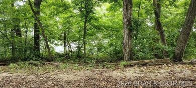 Nice Lake Front Building Lot at the 68 MM in Little Buffalo - photo 8