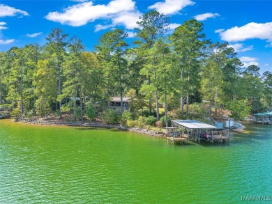 Lake Home For Sale in Eclectic, Alabama