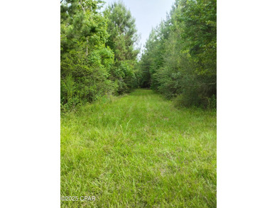 (private lake, pond, creek) Acreage For Sale in Chipley Florida