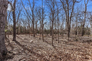 This enchanting land, situated in the heart of Springs,East - photo 2
