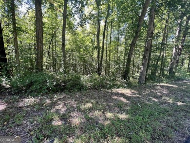 (private lake, pond, creek) Acreage For Sale in Temple Georgia