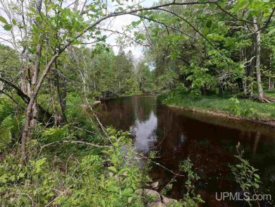 Wooded parcel for hunting and recreating. 3960' of river - Lake Acreage For Sale in Rapid River, Michigan