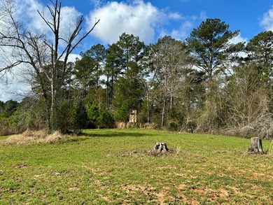 Situated just over six miles southwest of Pachuta, this land is - photo 11