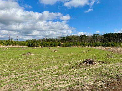 Situated just over six miles southwest of Pachuta, this land is - photo 12