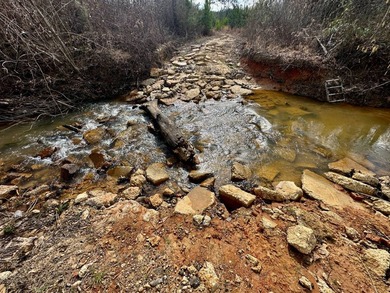 Situated just over six miles southwest of Pachuta, this land is - photo 13
