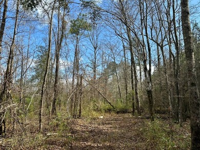 Situated just over six miles southwest of Pachuta, this land is - photo 19
