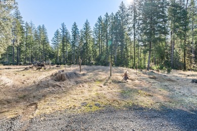 McKenzie River  Lot For Sale in Mckenziebridge Oregon