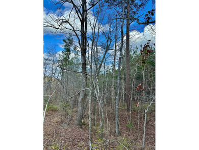 Situated just over six miles southwest of Pachuta, this land is - photo 23