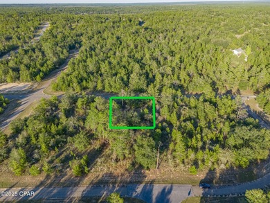 Boat Lake Lot For Sale in Chipley Florida