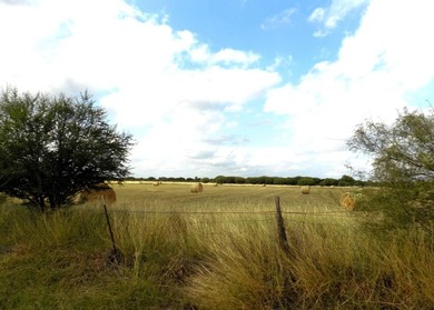 (private lake, pond, creek) Acreage For Sale in Quemado Texas