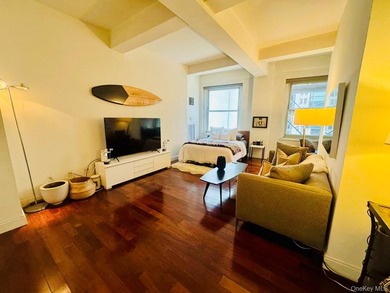 Luxury large studio located at residential high rise building - photo 1