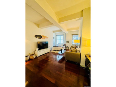 Luxury large studio located at residential high rise building - photo 8