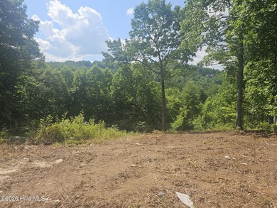 Build your mountain dream home on this beautiful 1.01-acre lot - photo 1