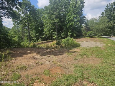 Build your mountain dream home on this beautiful 1.01-acre lot - photo 2