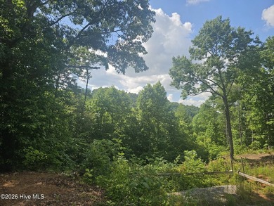 Build your mountain dream home on this beautiful 1.01-acre lot - photo 3