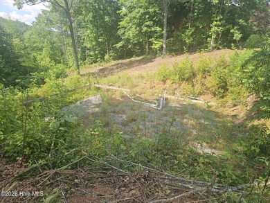 Build your mountain dream home on this beautiful 1.01-acre lot - photo 4