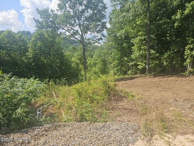 Build your mountain dream home on this beautiful 1.01-acre lot - photo 5